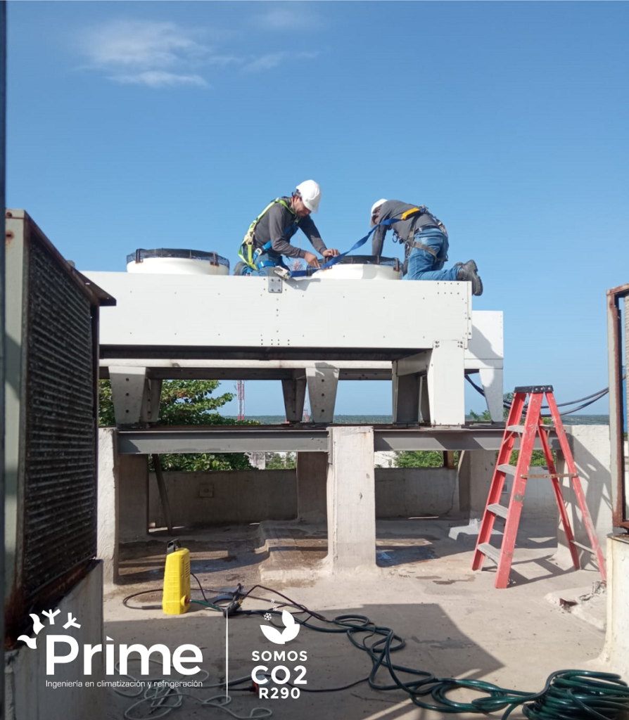 Mantenimiento Y Servicio