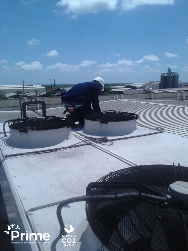 Centro de Distribución Éxito Caribe