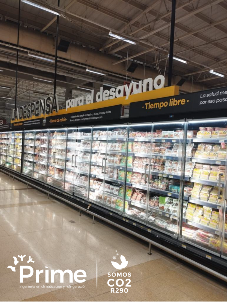 Éxito WOW Ibagué11