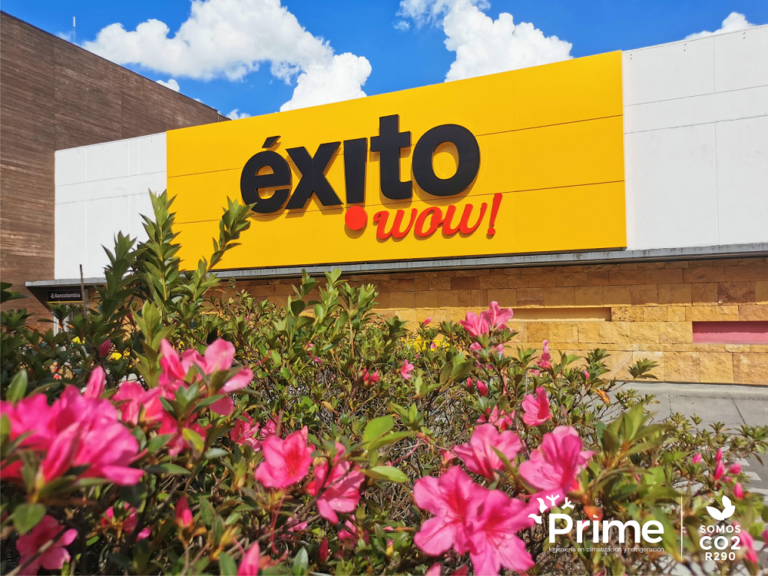 Éxito WOW Rionegro1