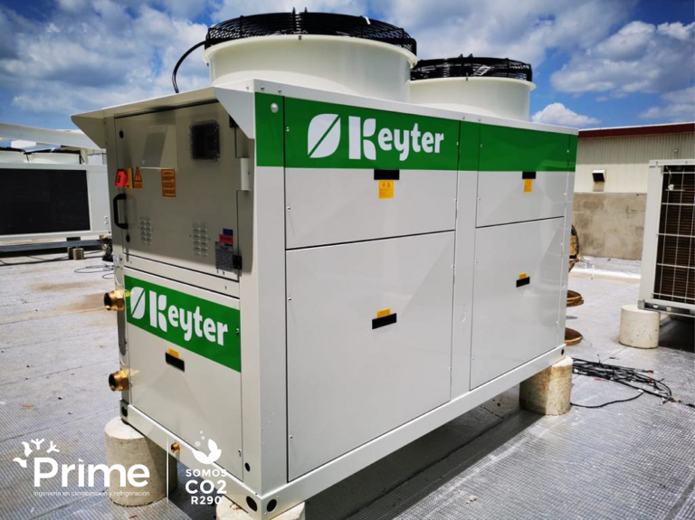 Panificadora del Litoral3