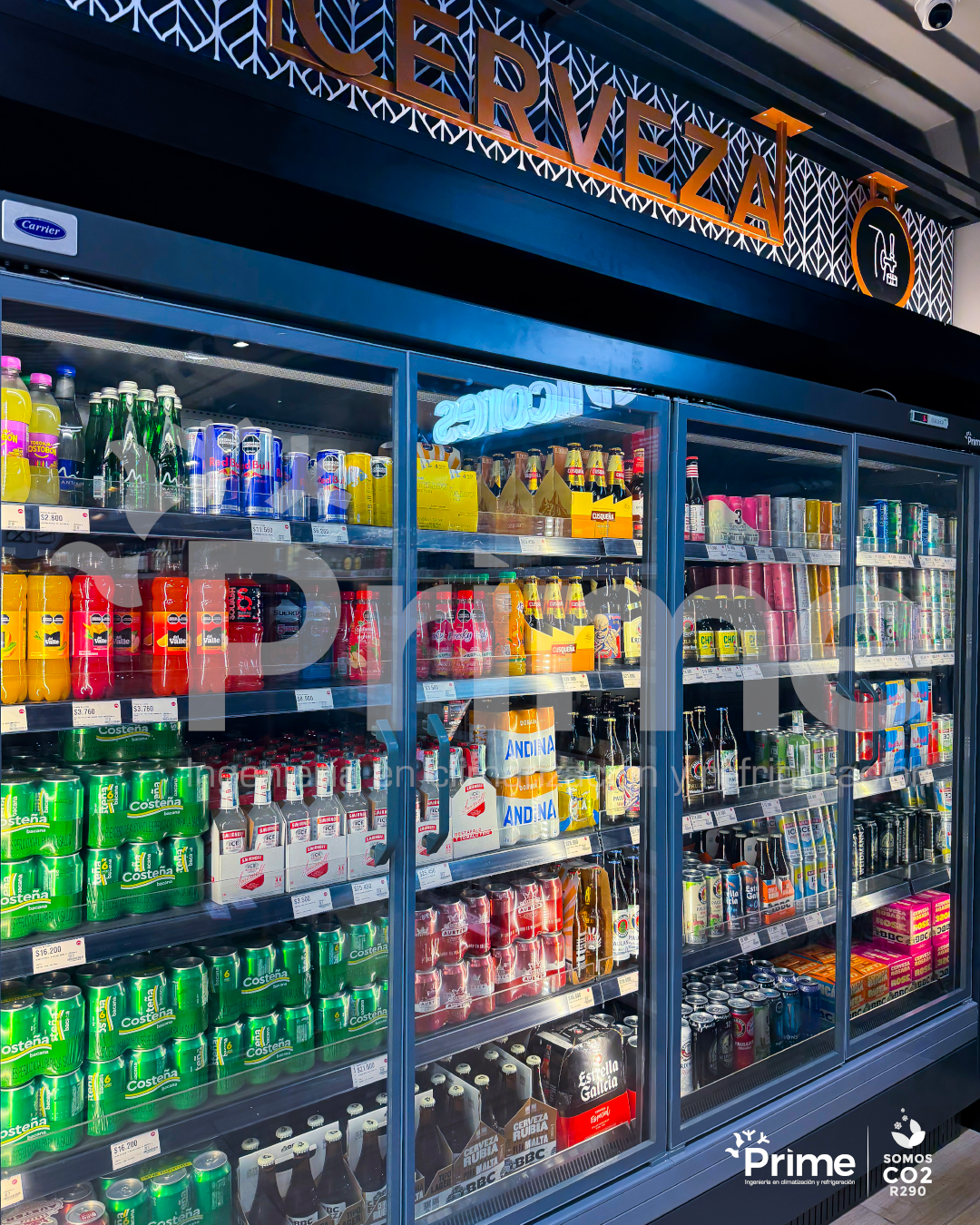 Calle 95 Olimpica_11