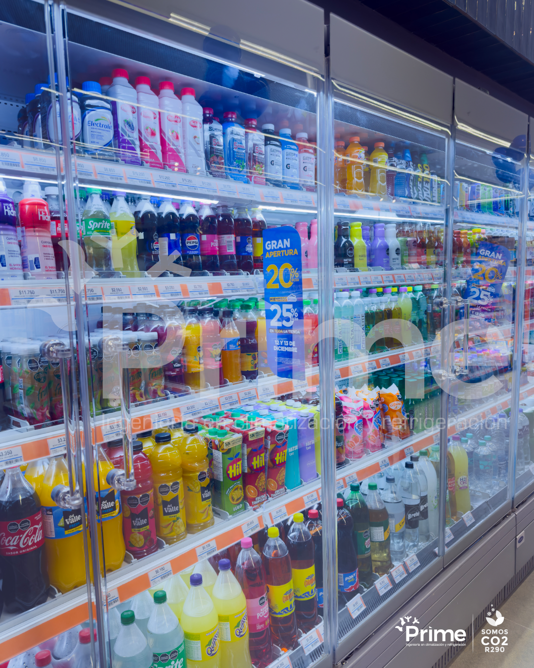 Farmatodo El Ensueño_2