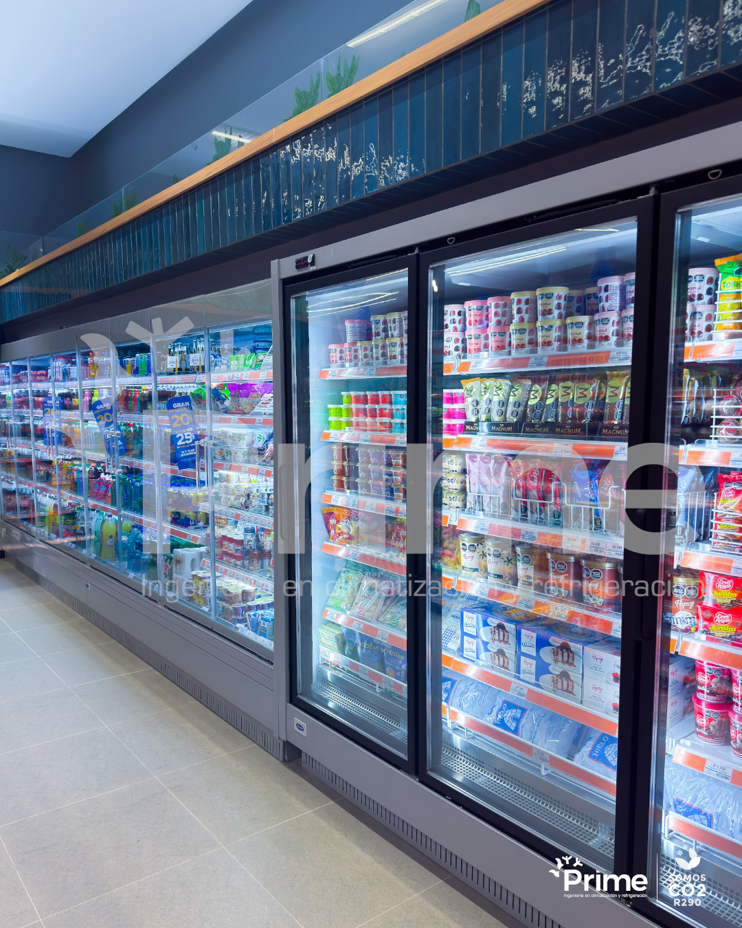 Farmatodo El Ensueño_5