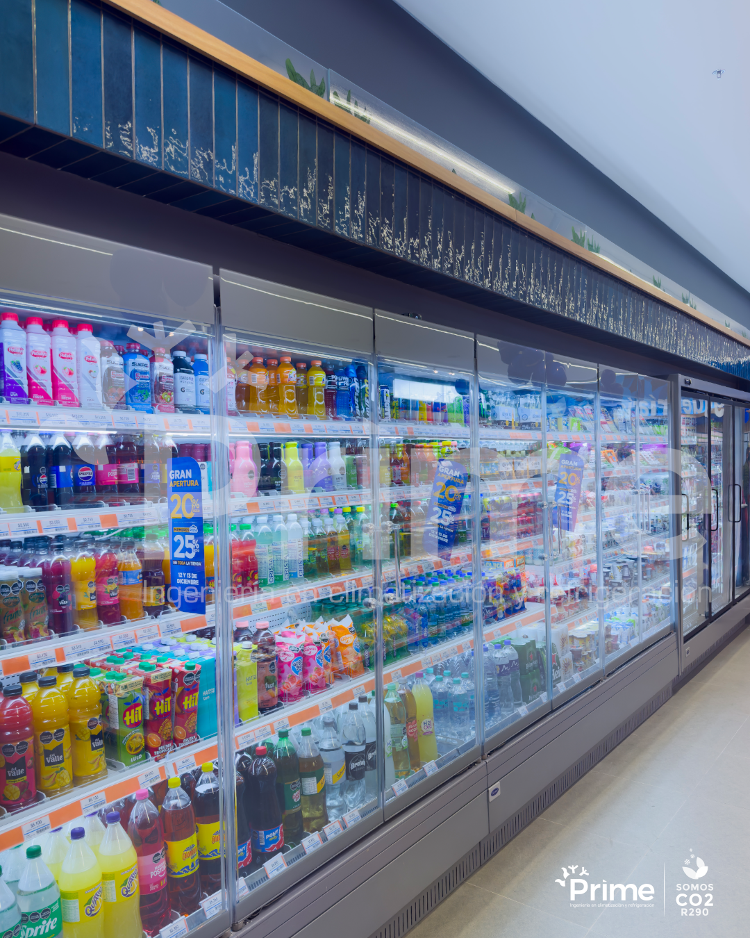 Farmatodo El Ensueño_6